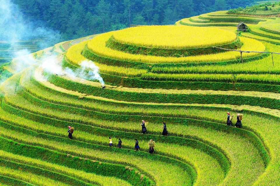 Viet Nam