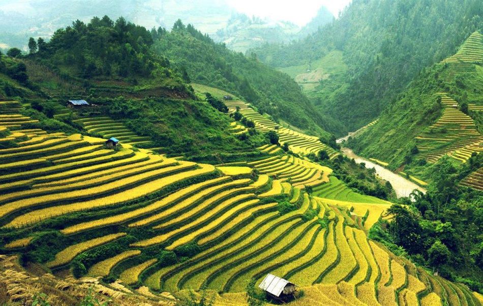 Viet Nam
